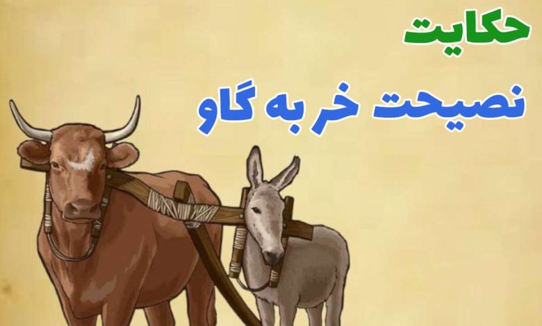 1731208927 حکایت نصحیت خر بیچاره به گاو که کار دست خودش